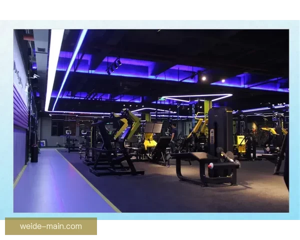 伟德平台注册全方位解析：打造安全高效的线上博彩体验