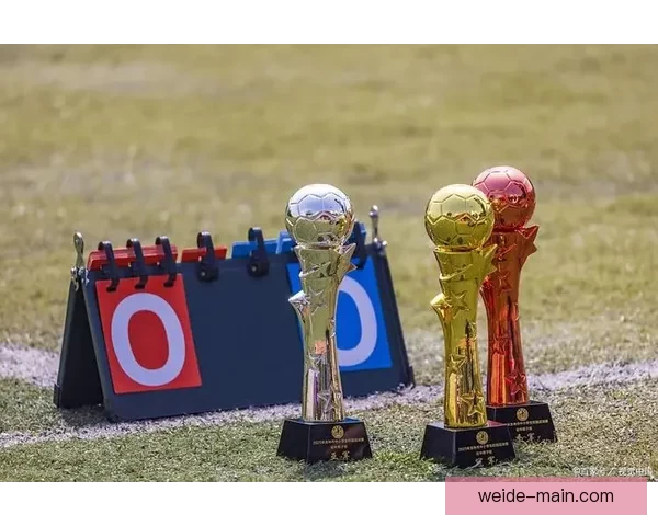 美加墨世界杯联合举办：新纪元的足球盛宴与跨国合作模式