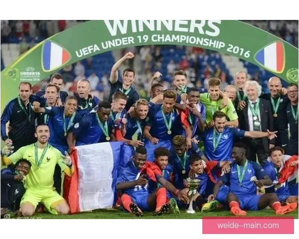 世界杯买球投注技巧解析与赛果精准预测指南分享