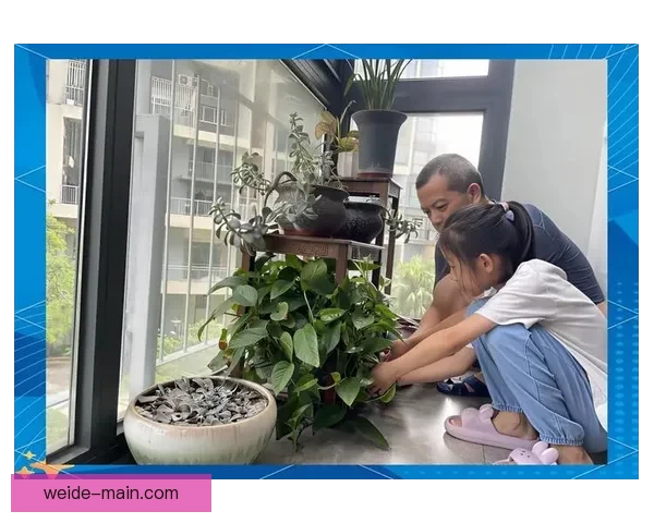 世界杯精彩赛事分析与投注技巧全面指南助你精准竞猜