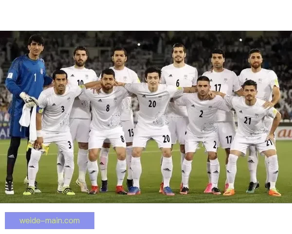 世界杯买球投注技巧解析与赛果精准预测指南分享