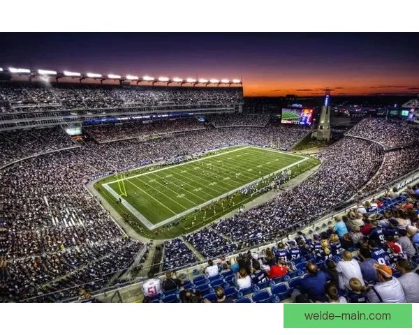 美加墨世界杯买球攻略，畅享三国赛事激情投注全解析